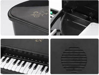 Buy Portable 25 Key Piano With Light And Sound