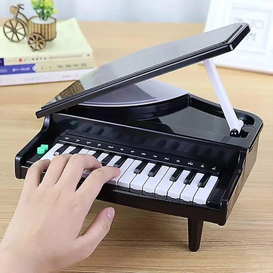 Buy Portable 25 Key Piano With Light And Sound