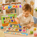 Wooden Magnetic Color Classification Maze (BTE-005C)